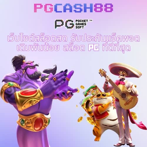 โปรแกรมบอลวันนี